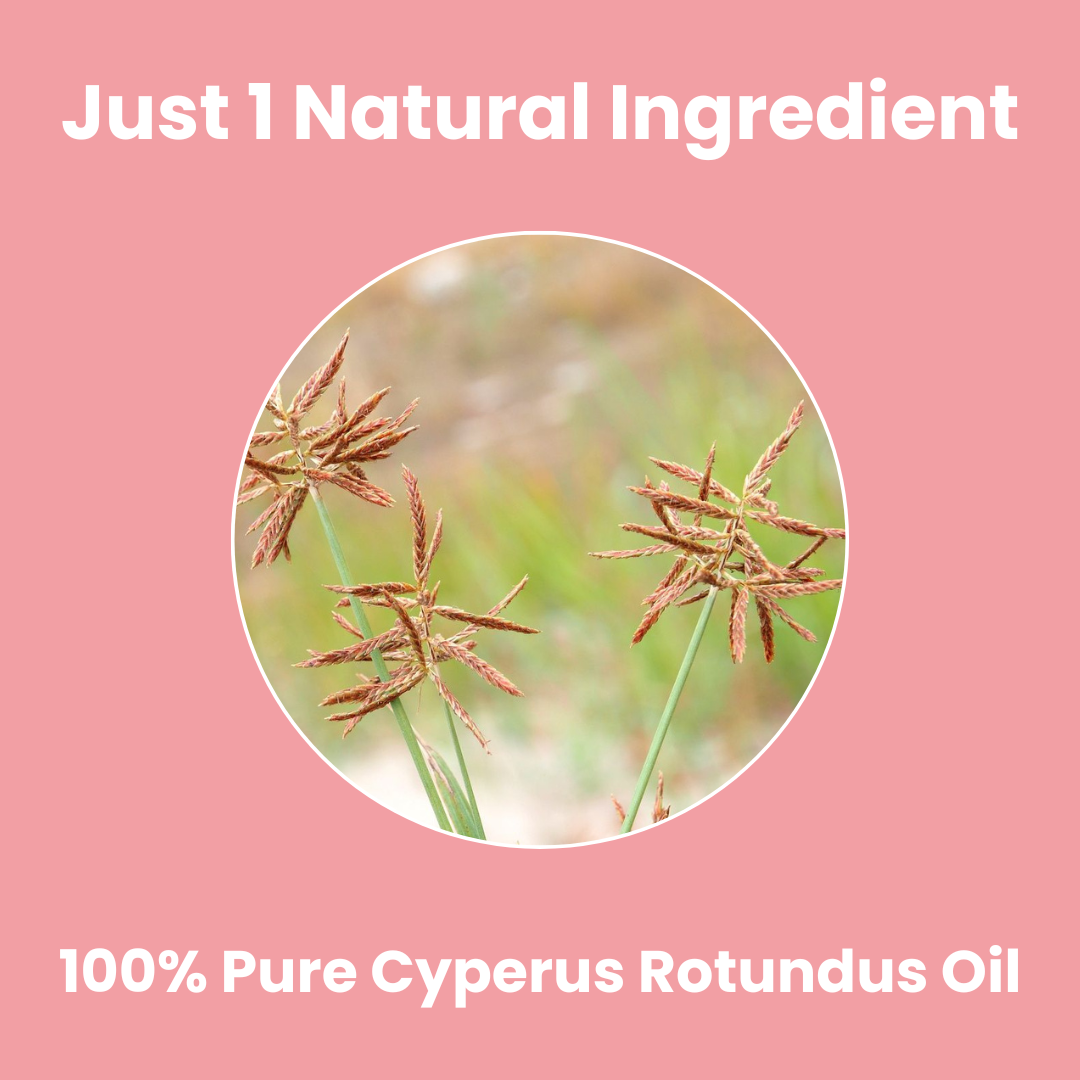 Stripd - Root Eraser Serum